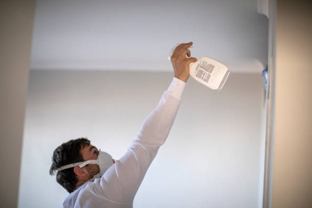 Best Attic Mold Remediation in Somerset, TX